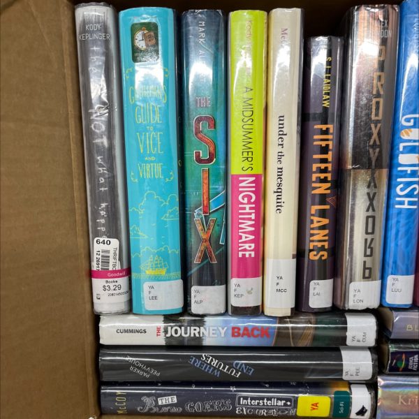 Ex Library Young Adult Bundle  21 books Online - Image 2