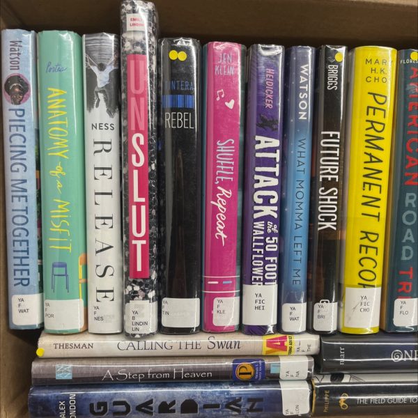 Ex Library YA Hardcover Books 20 books Supply - Image 2