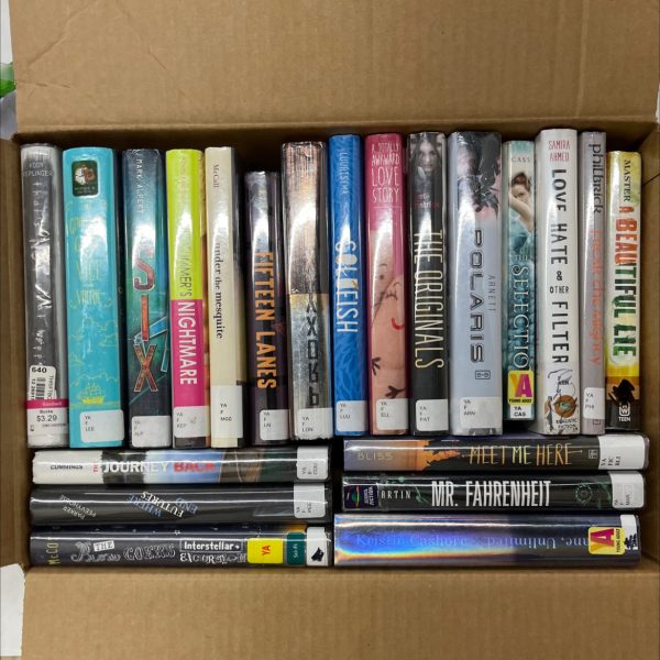 Ex Library Young Adult Bundle  21 books Online
