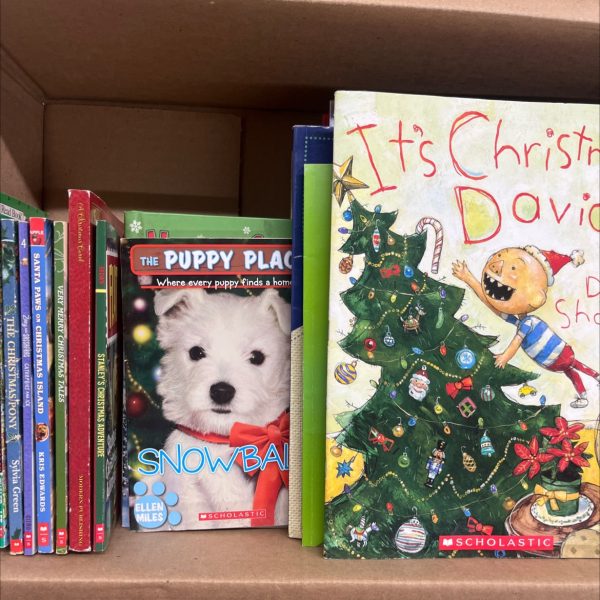 Kids Christmas Book Bundle, David, Pete the Cat and More 44 books Online Sale