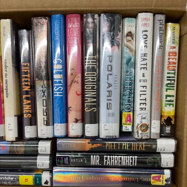 Ex Library Young Adult Bundle  21 books Online - Image 3