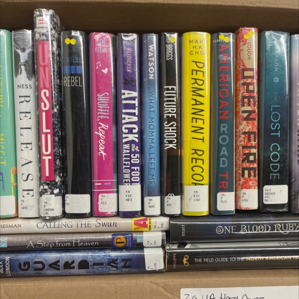 Ex Library YA Hardcover Books 20 books Supply