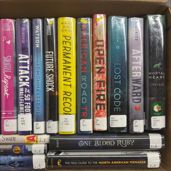 Ex Library YA Hardcover Books 20 books Supply - Image 3